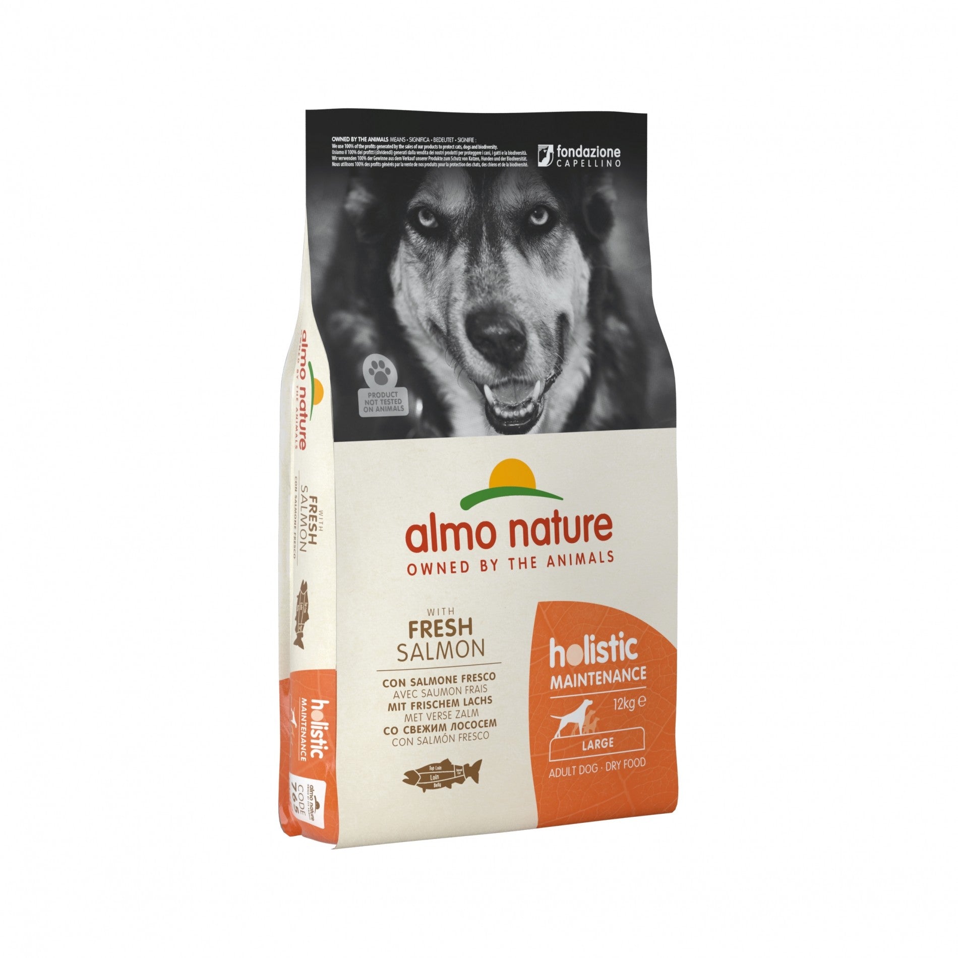 Almo Nature Croquettes Chien Adulte - Holistic Maintenance Large