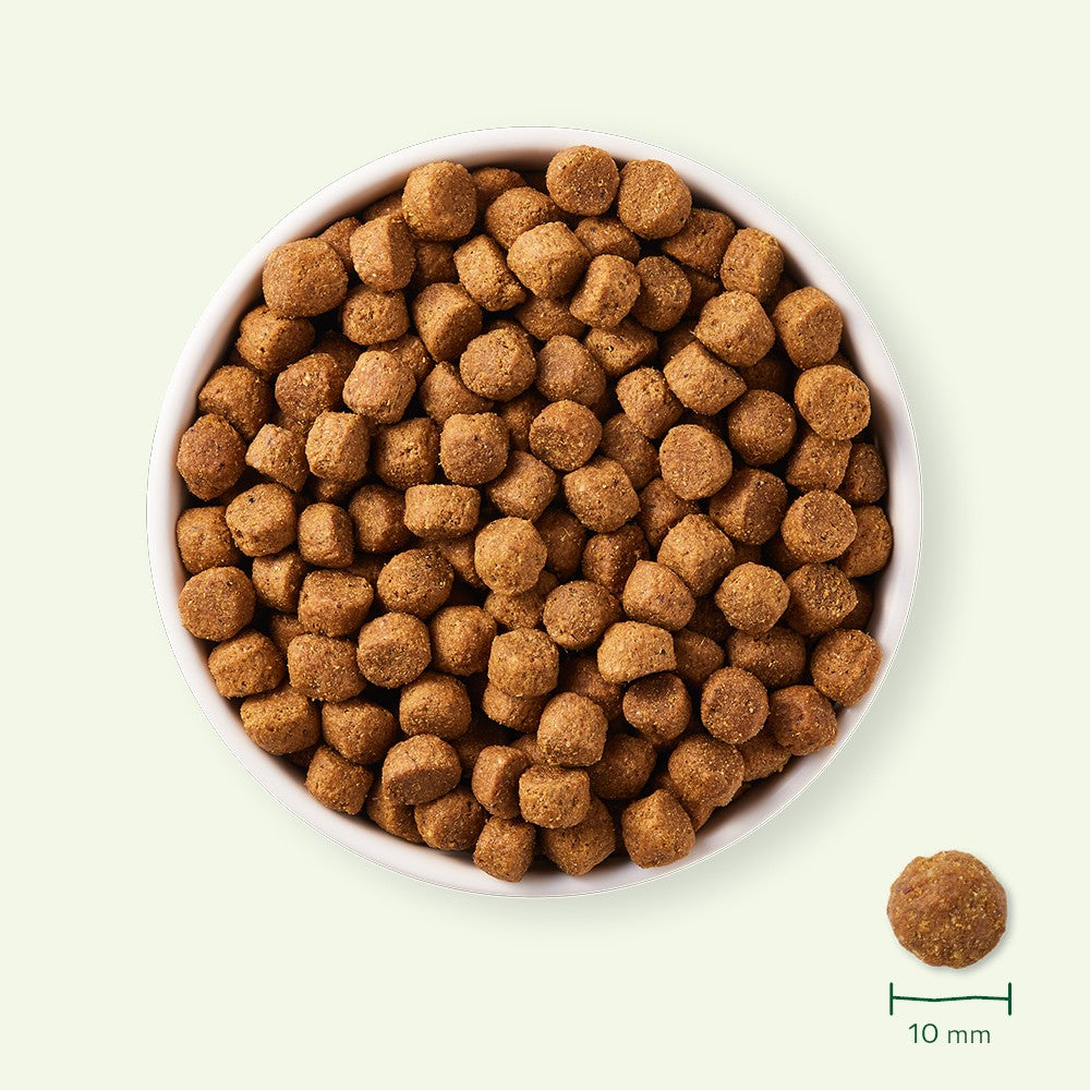 Yarrah croquettes bio pour chien adulte