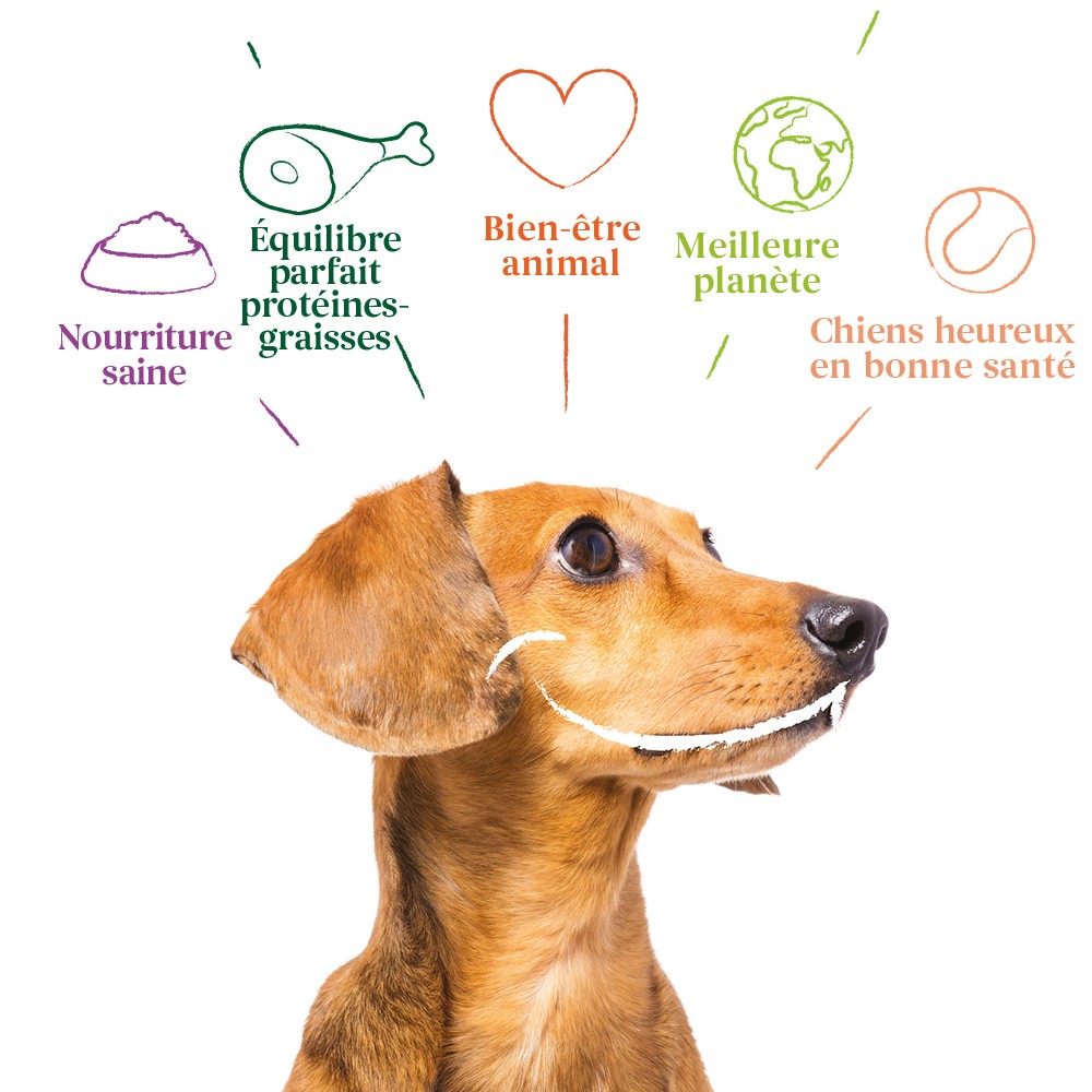 Yarrah pâtées bio - 12 x 150 g