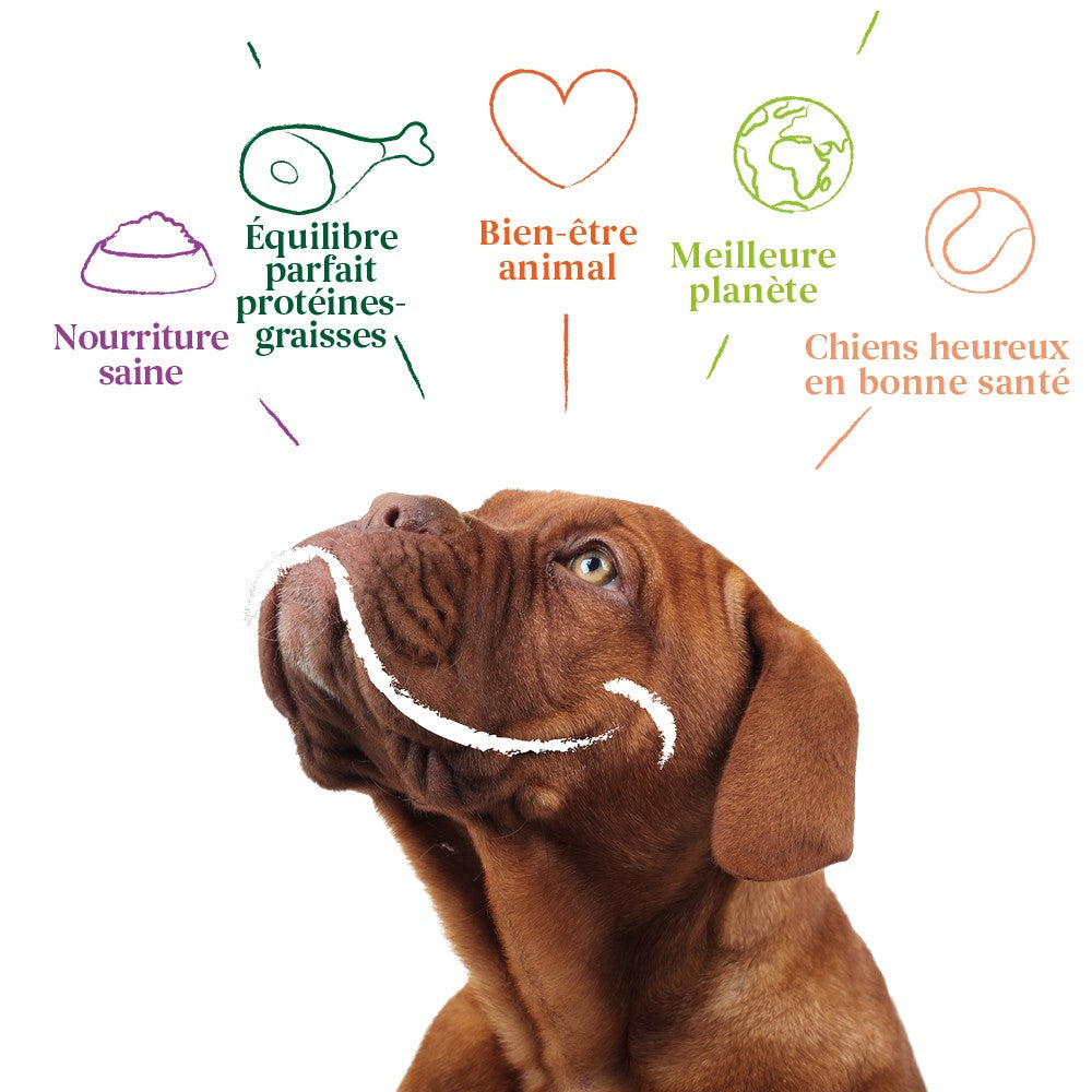 Yarrah bouchées bio - Lot 6 x 820 g