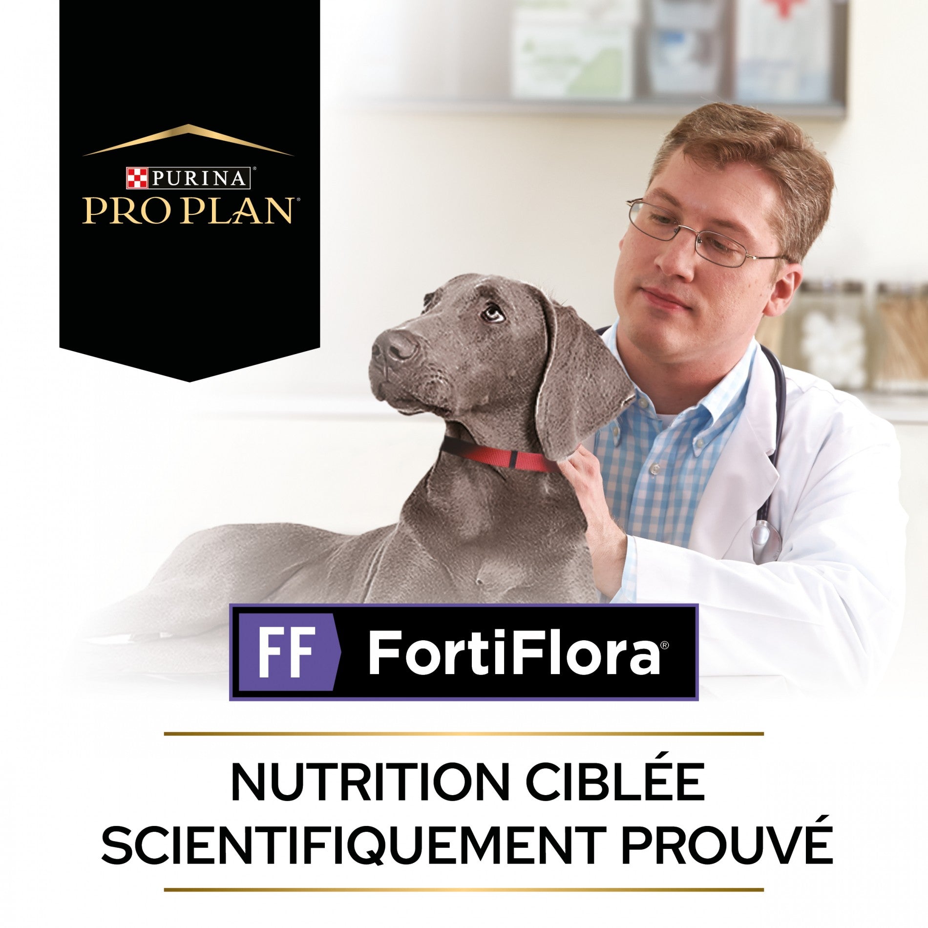 Pro Plan FortiFlora en Poudre - Probiotiques pour chien