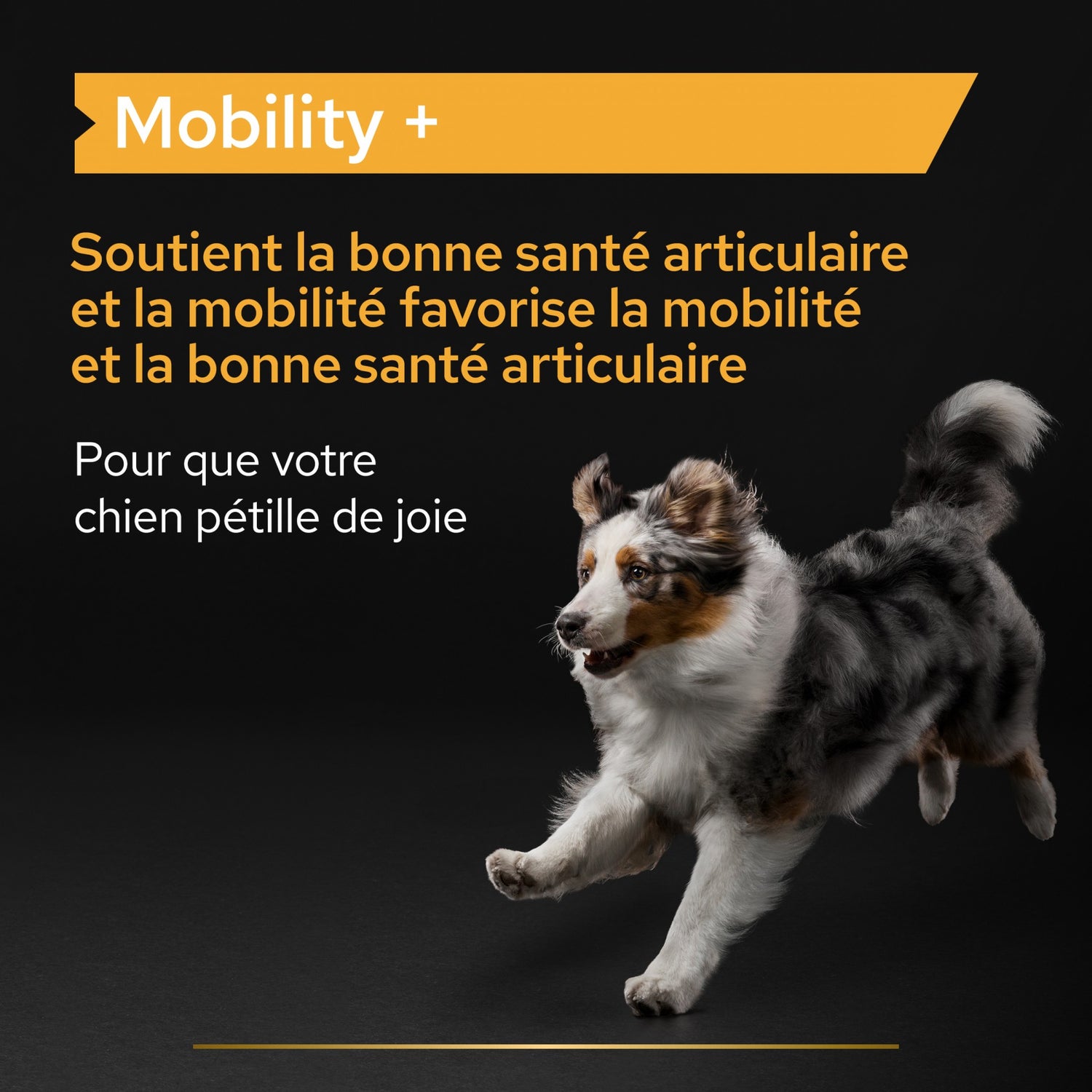 PRO PLAN Mobility+ en poudre - Aliment complémentaire pour chien