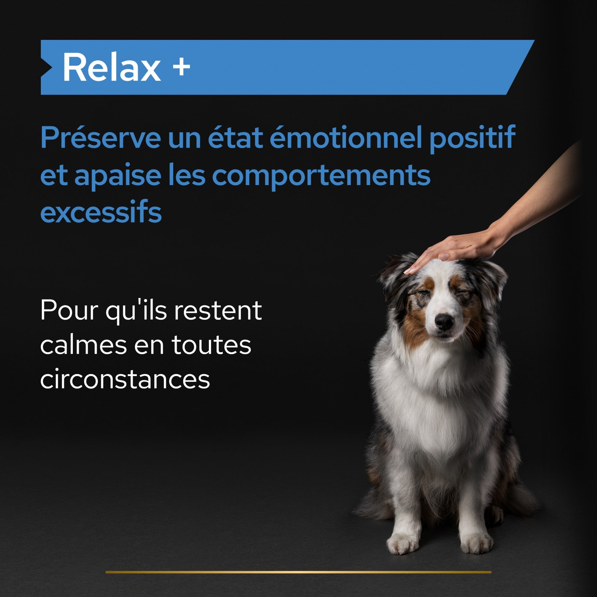 PRO PLAN Relax+ en huile - Aliment complémentaire pour chien
