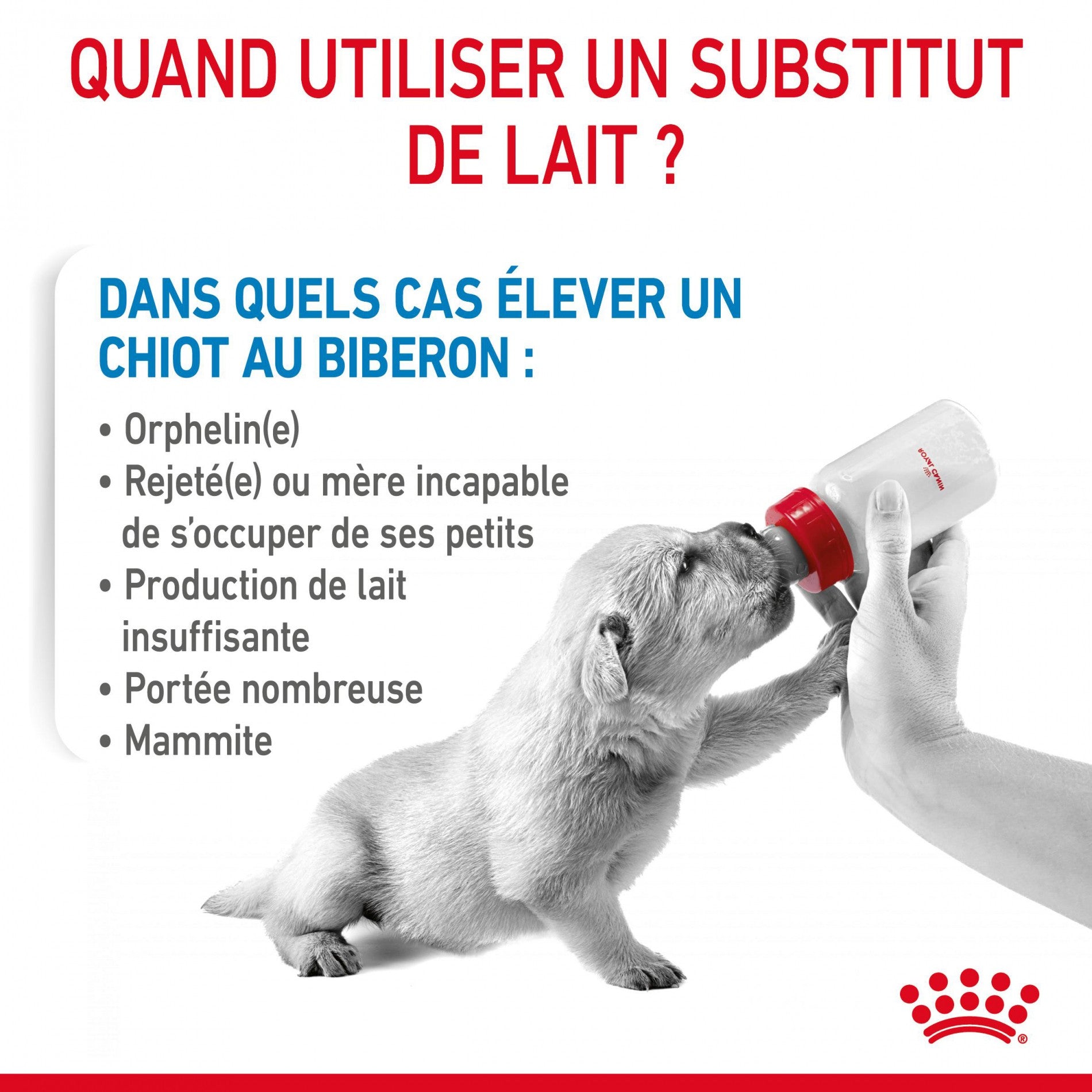 Royal Canin Babydog Milk - lait maternisé pour chiot