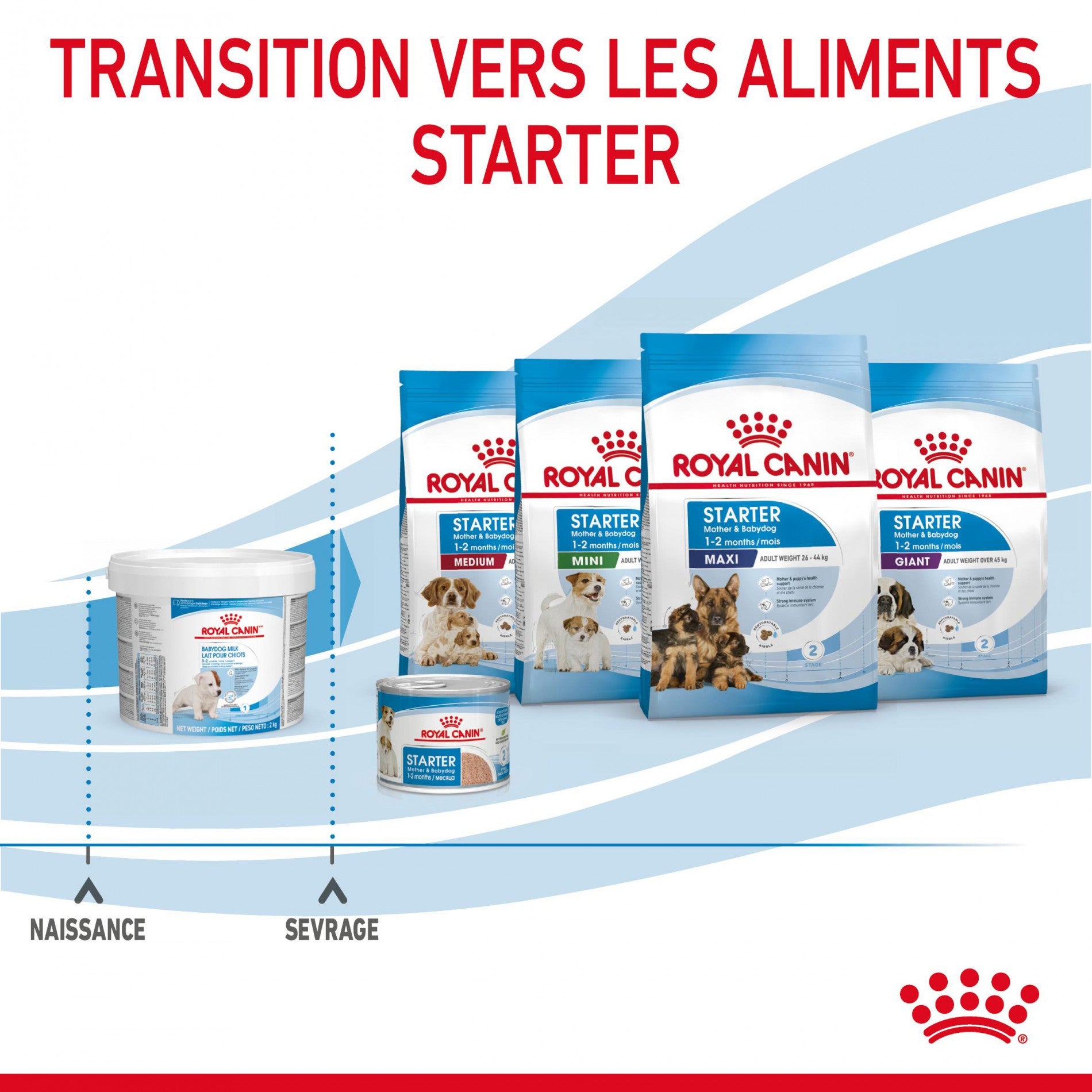 ROYAL CANIN Babydog Milk - Lait maternisé pour chiot