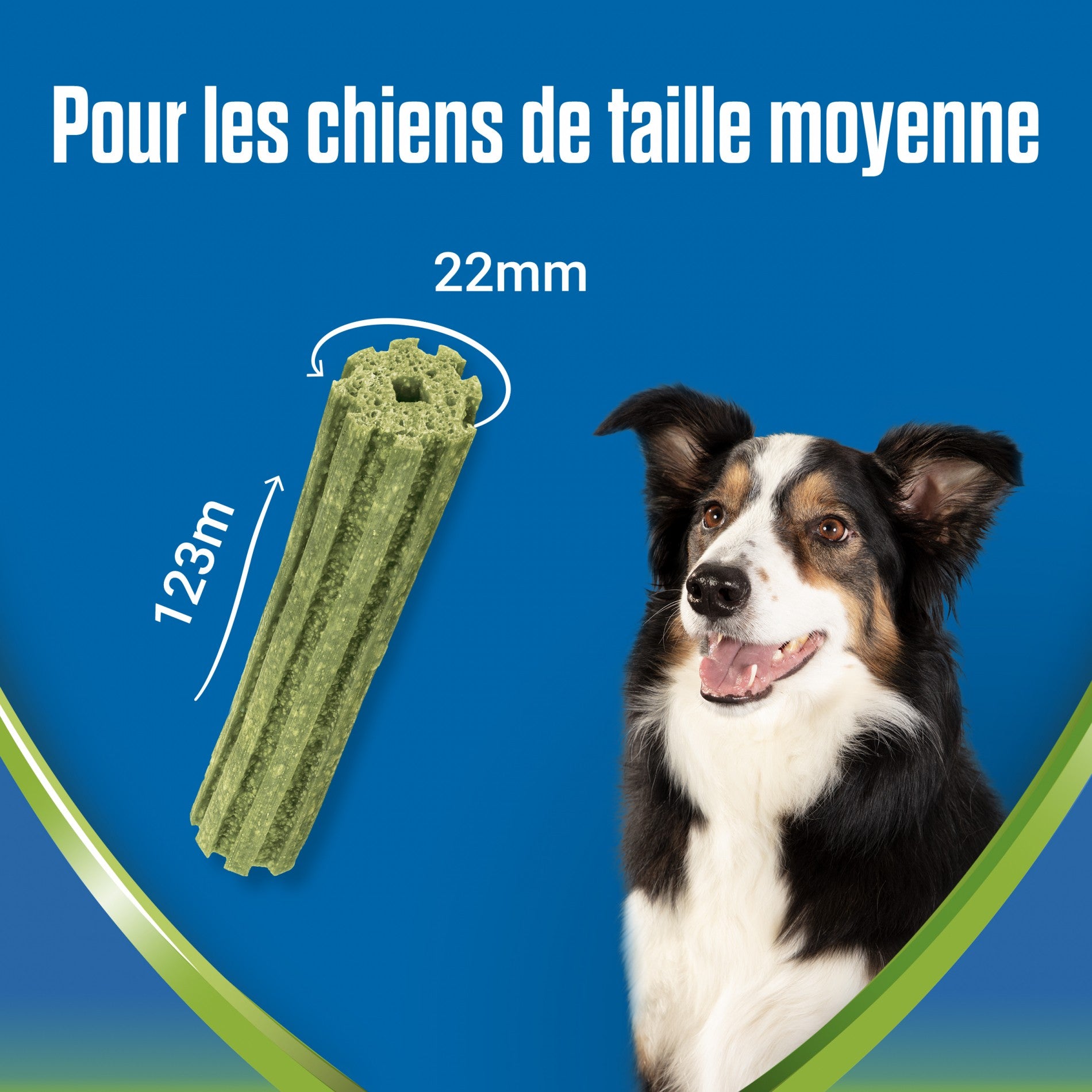 Dentalife ActivFresh en Bâtonnets - Friandises bucco-dentaires pour chien