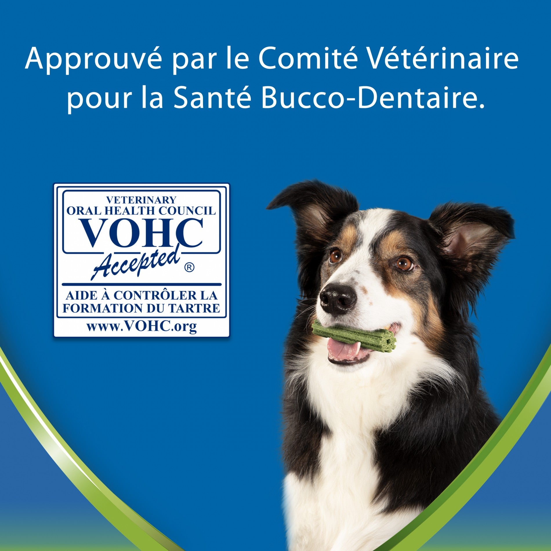 Dentalife ActivFresh en Bâtonnets - Friandises bucco-dentaires pour chien