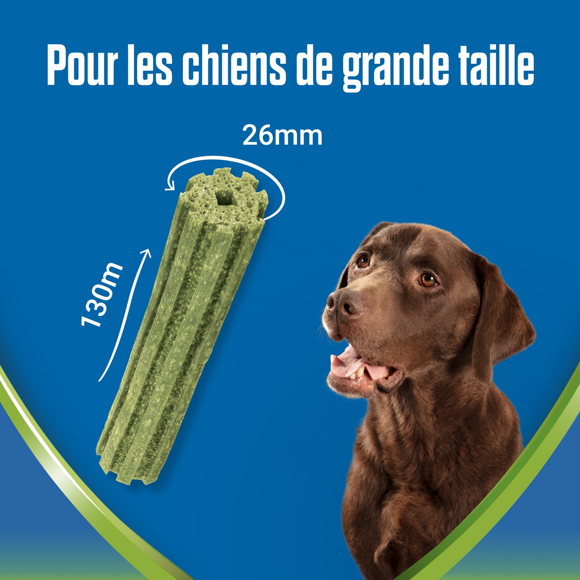 Dentalife ActivFresh en Bâtonnets - Friandises bucco-dentaires pour chien