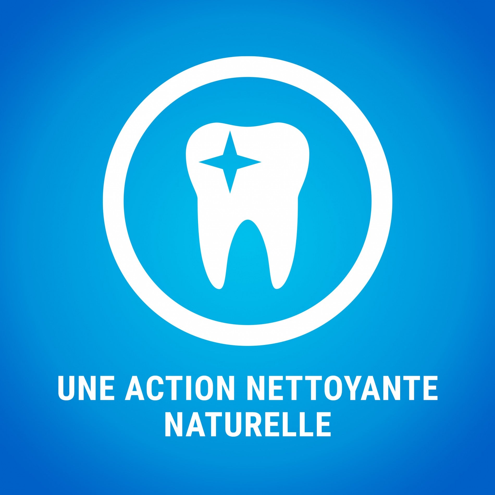 Dentalife bâtonnets à mâcher