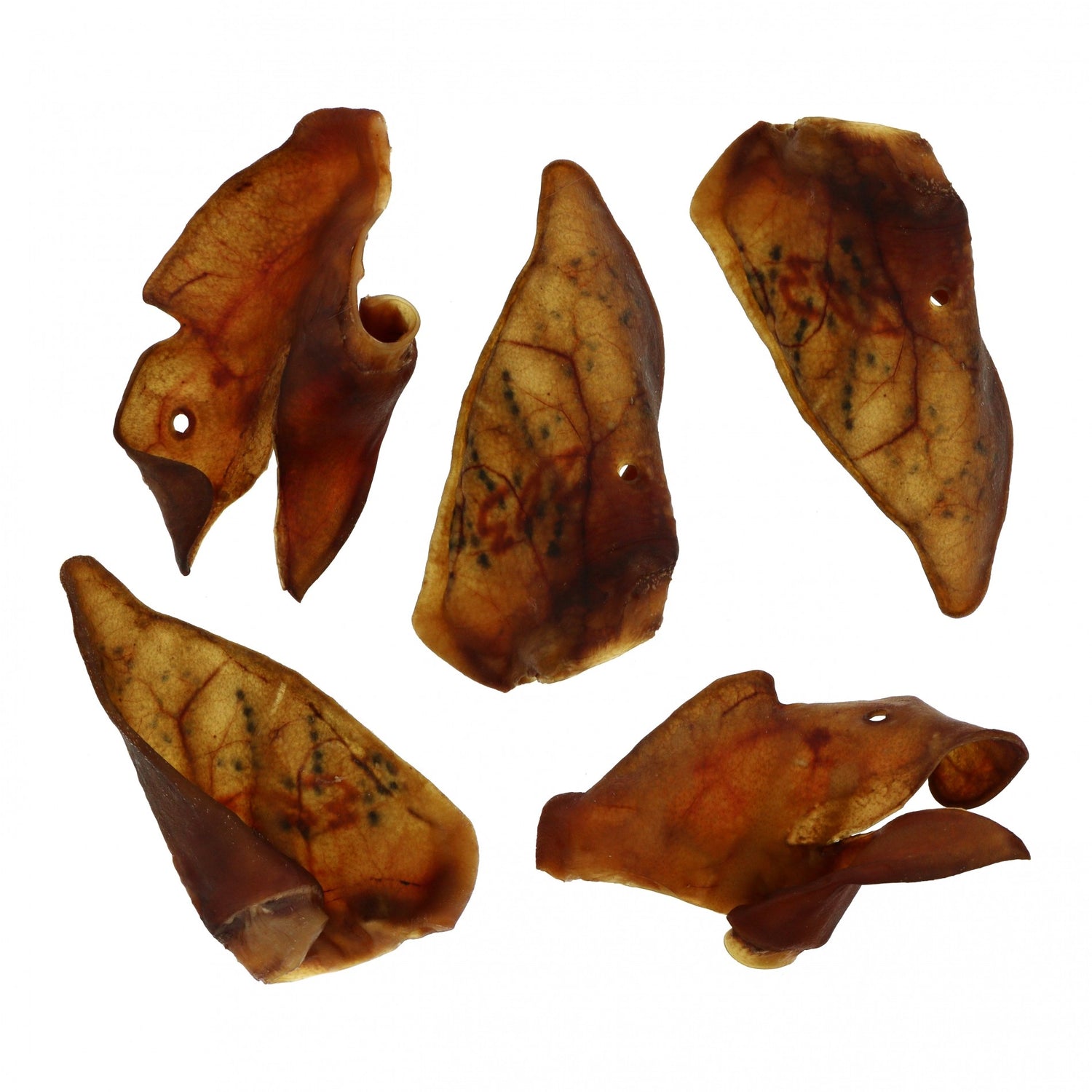 Oreilles de porc XXL