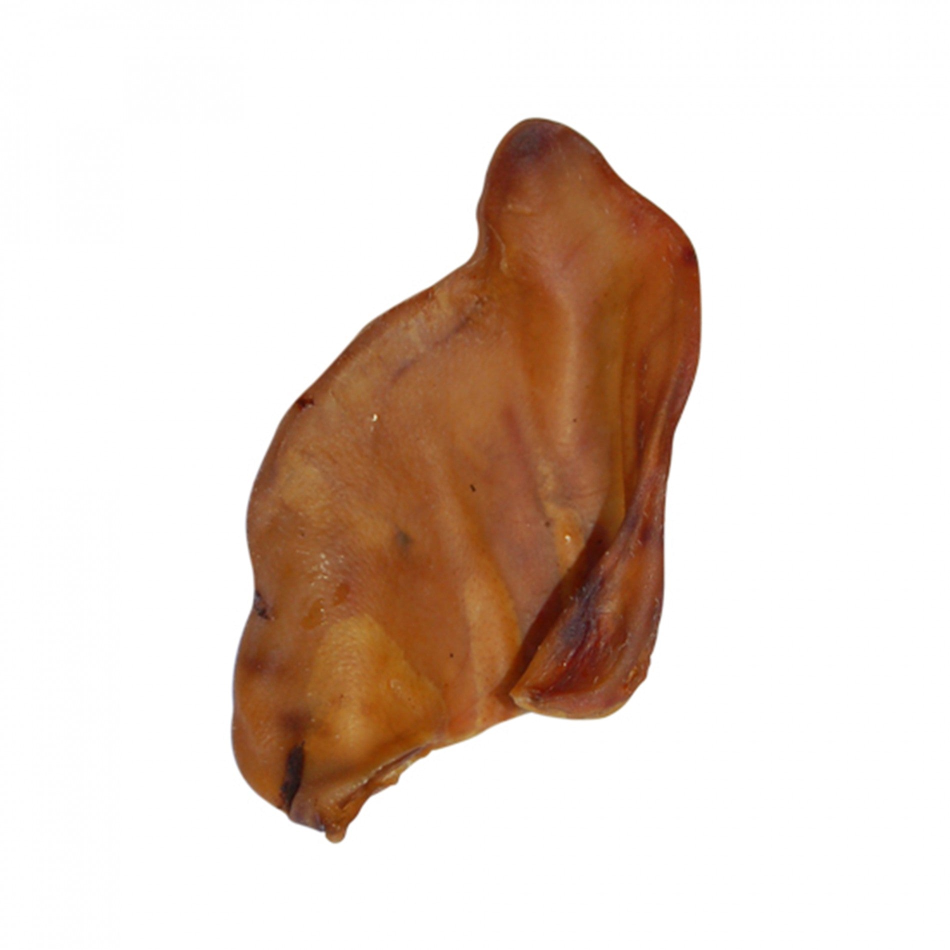 Lot de 50 oreilles de porc