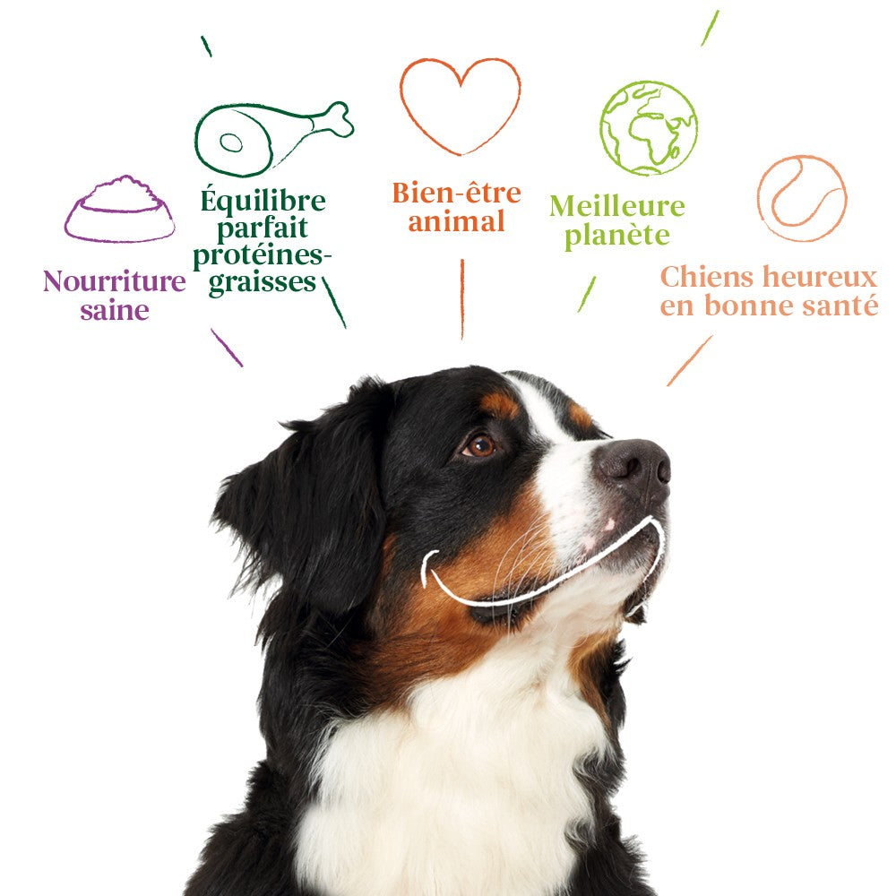 Yarrah sticks à mâcher bio pour chien