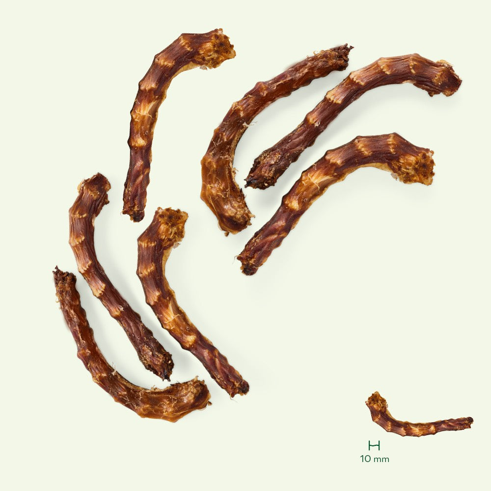 Yarrah cous de poulet bio pour chien