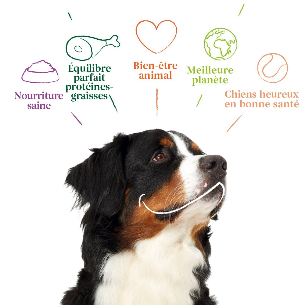 Yarrah cous de poulet bio pour chien