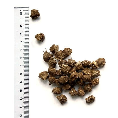 Yarrah mini snacks bio pour chien