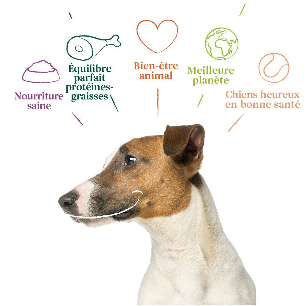 Yarrah mini snacks bio pour chien