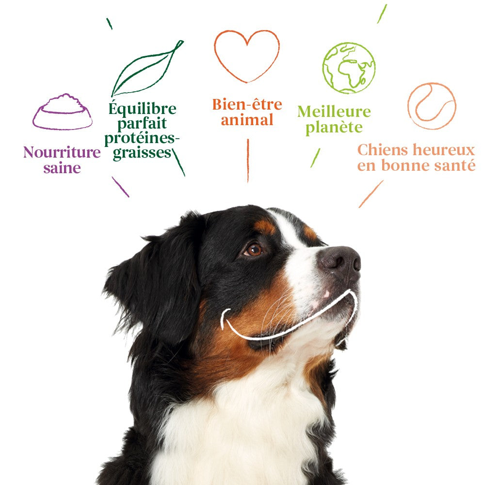 Yarrah biscuits bio végétarien pour grand chien