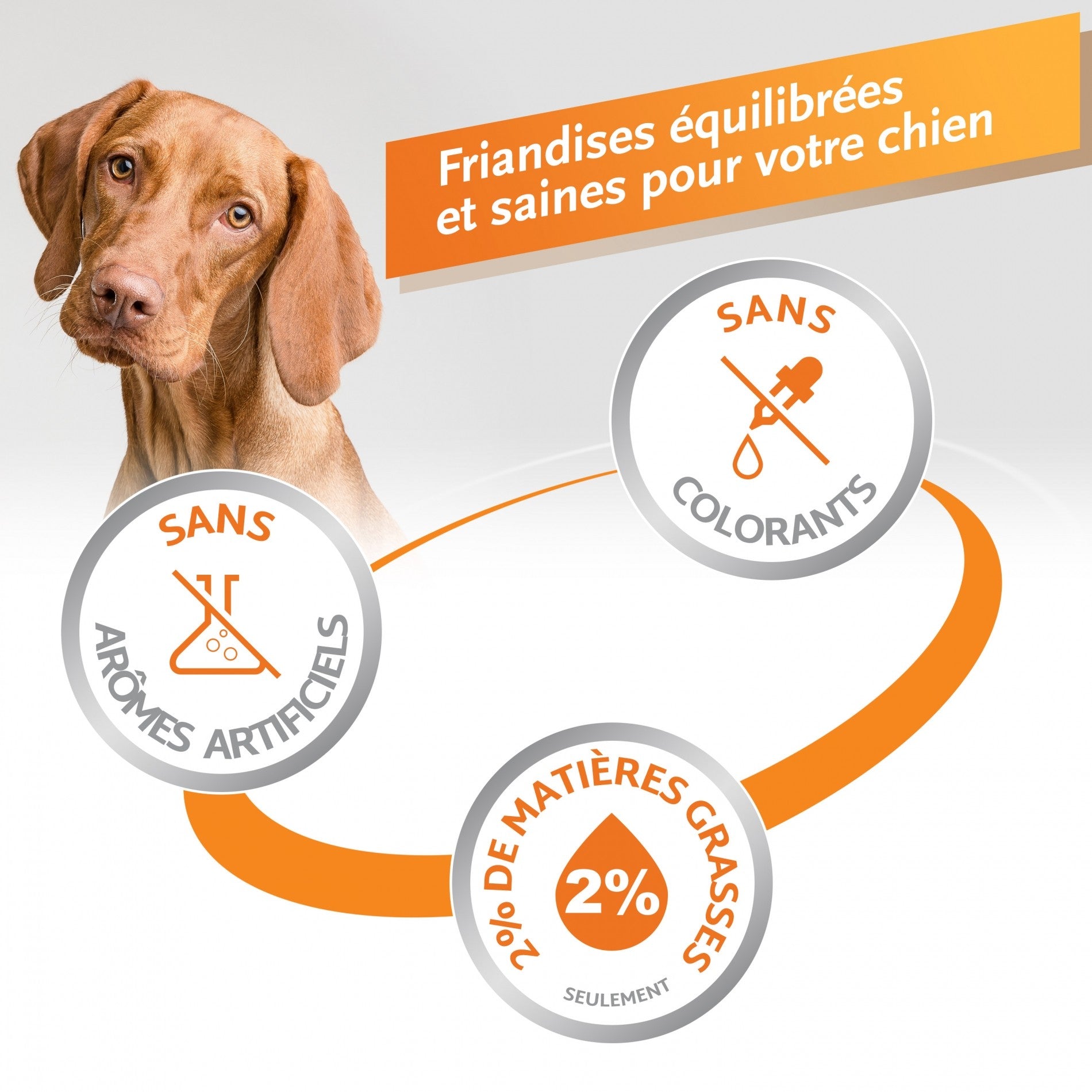 Os à mâcher Delights