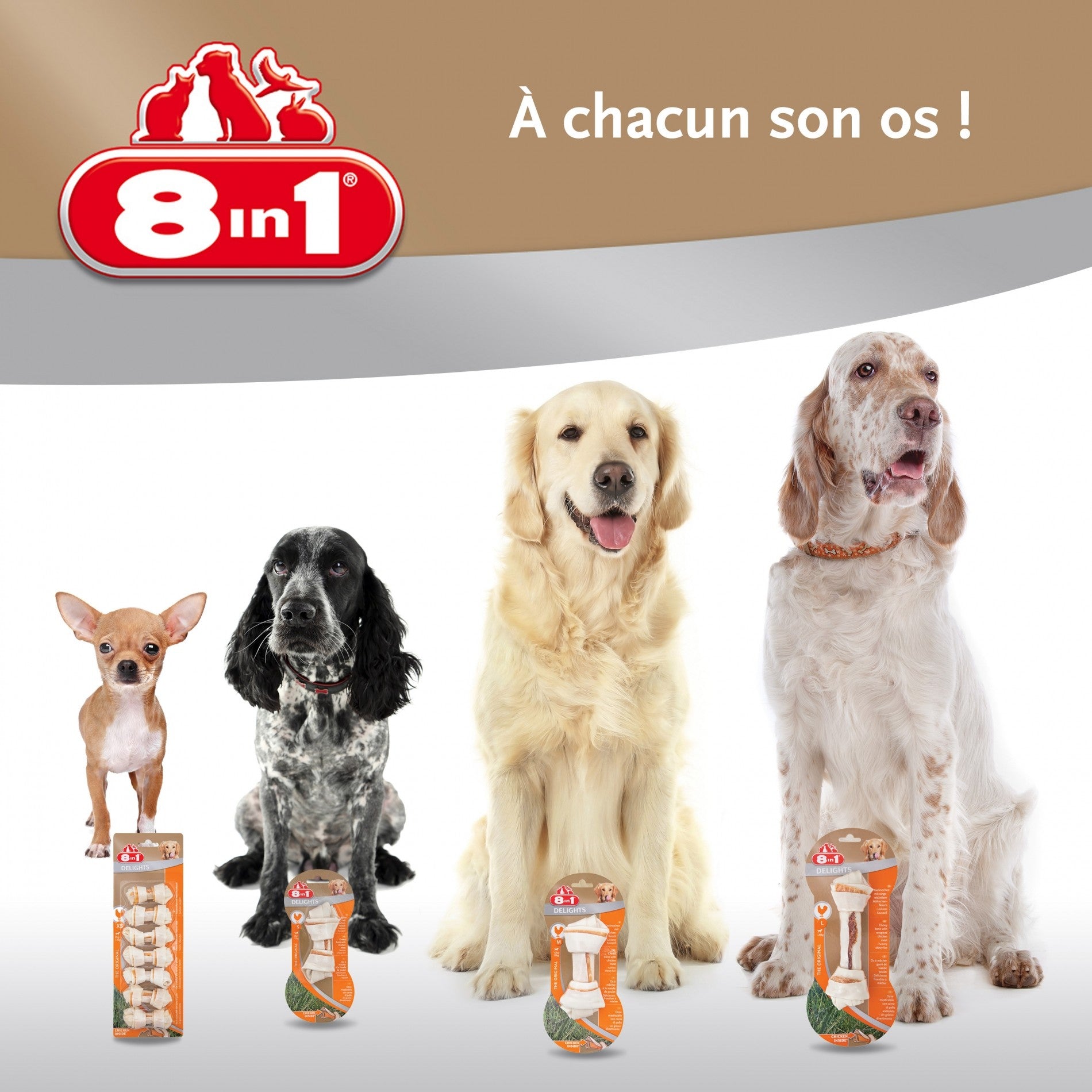 Os à mâcher Delights