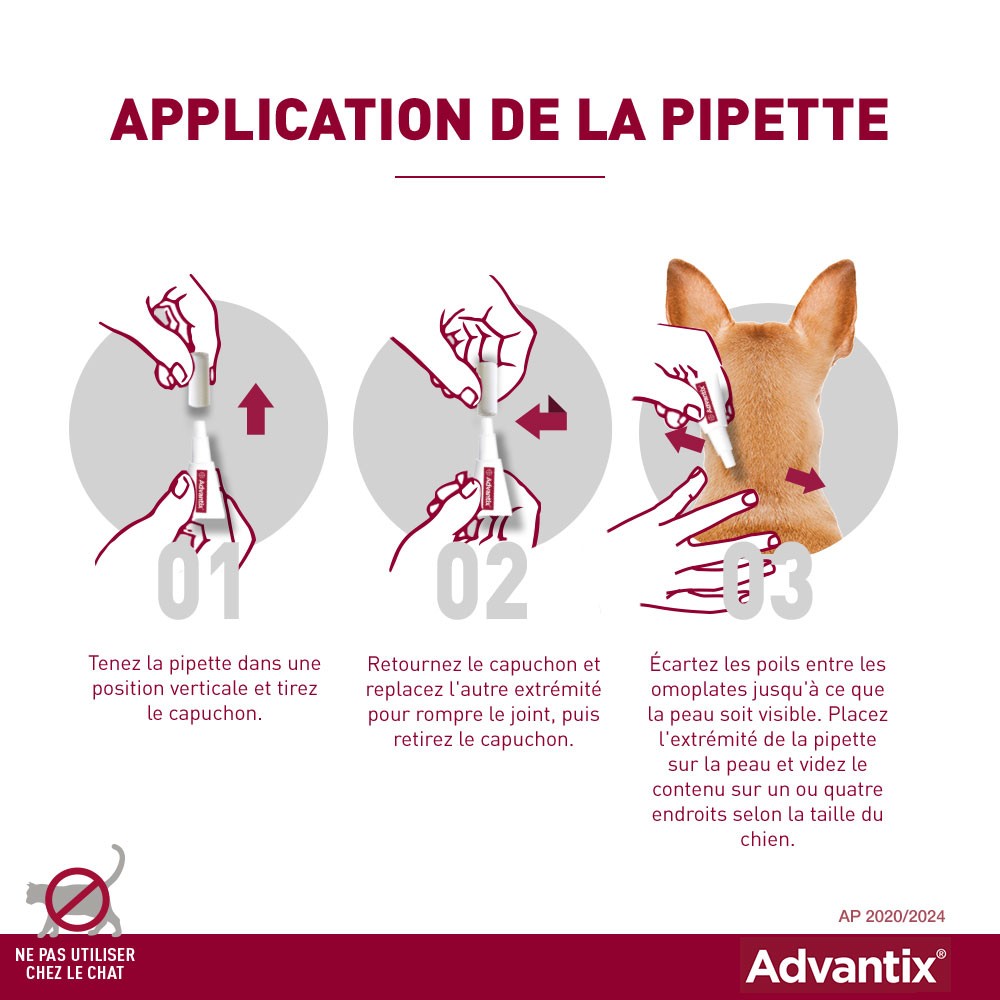 Pipettes Advantix chien