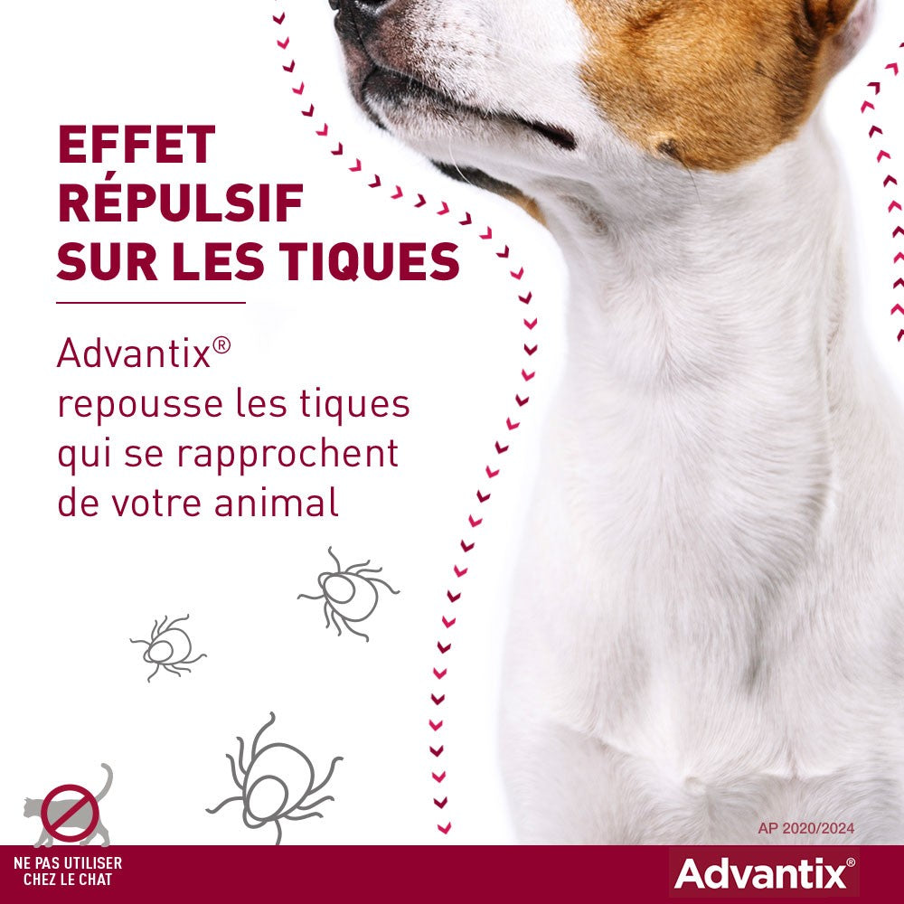 Pipettes Advantix chien
