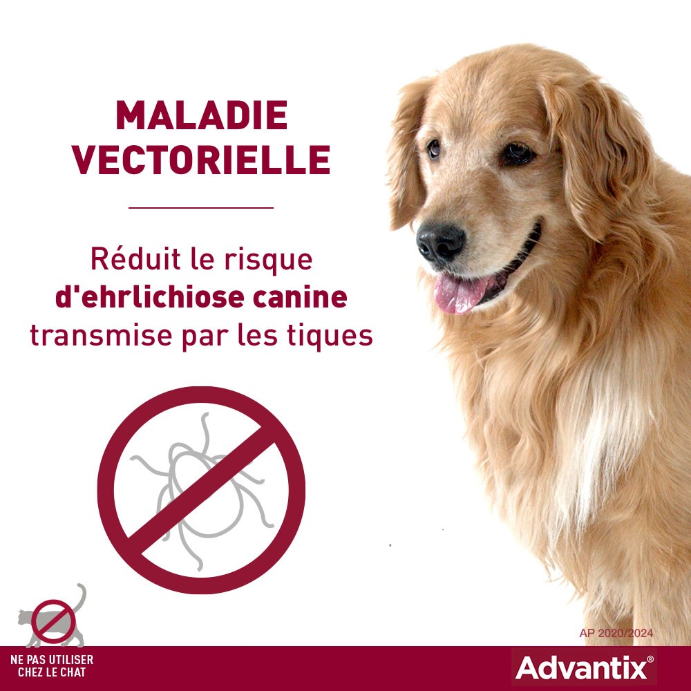 Pipettes Advantix chien