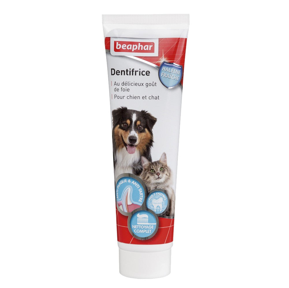 Dentifrice haleine fraîche