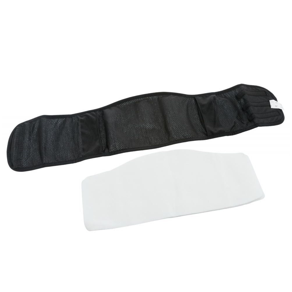 Bande ventrale pour mâles