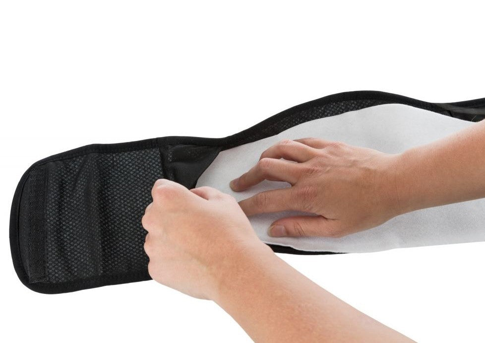 Bande ventrale pour mâles