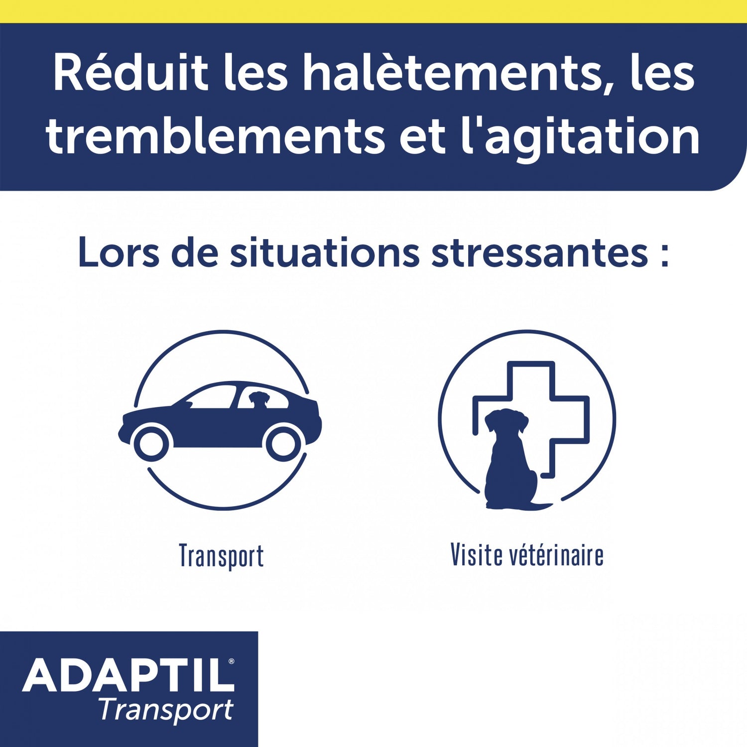 ADAPTIL® Transport