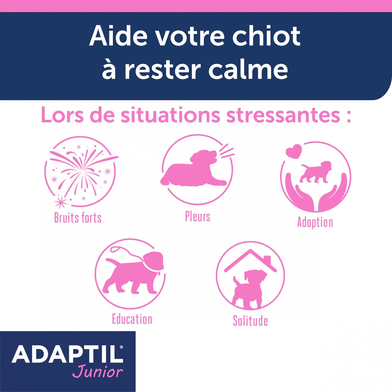 ADAPTIL® Junior collier