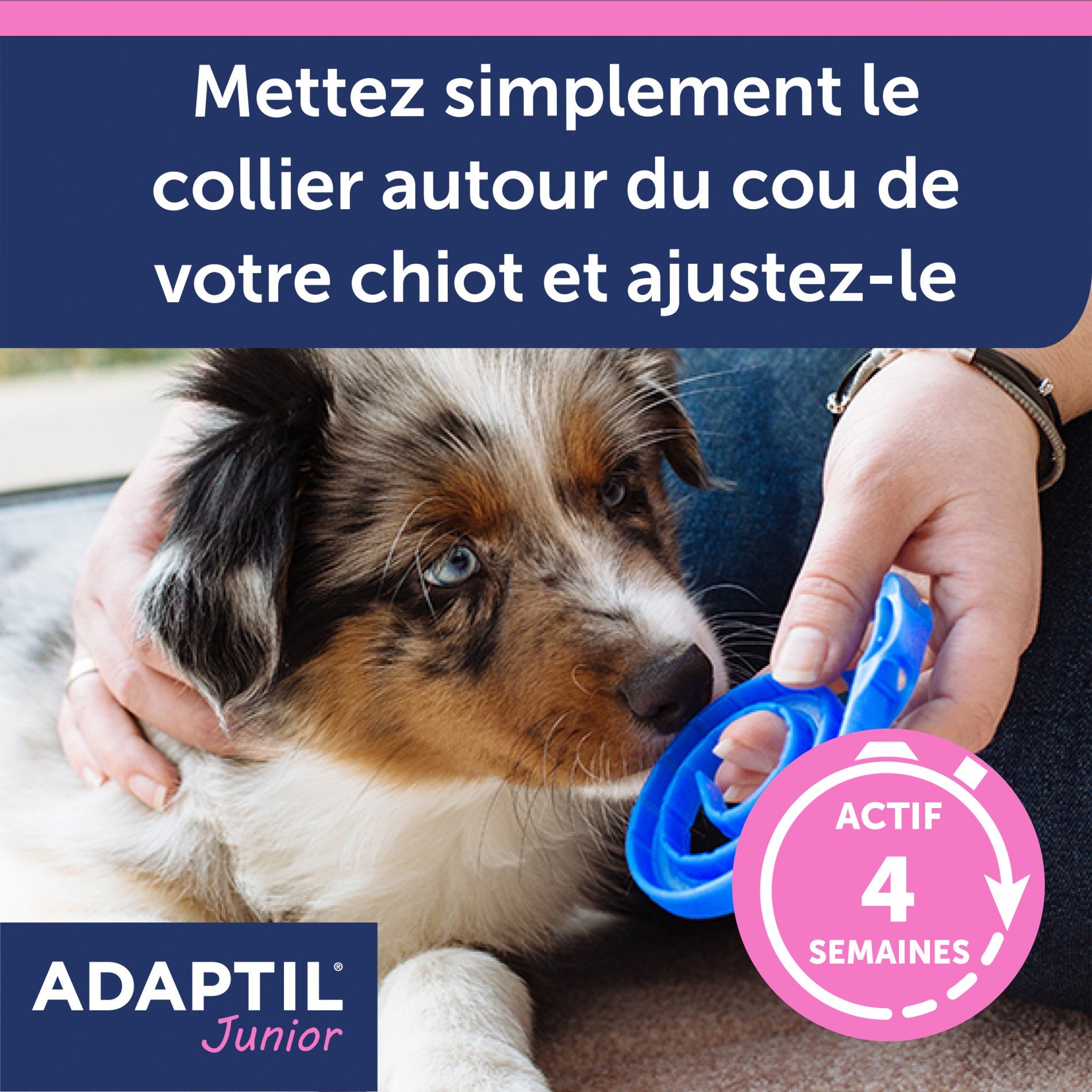 ADAPTIL® Junior collier