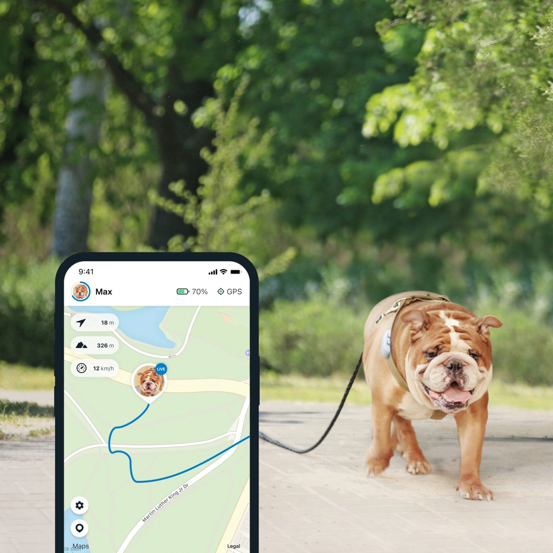 Traceur GPS 4 pour chien