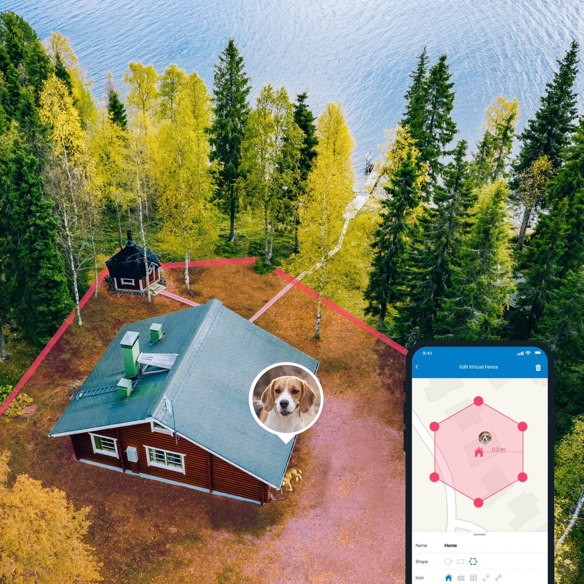 Traceur GPS 4 pour chien