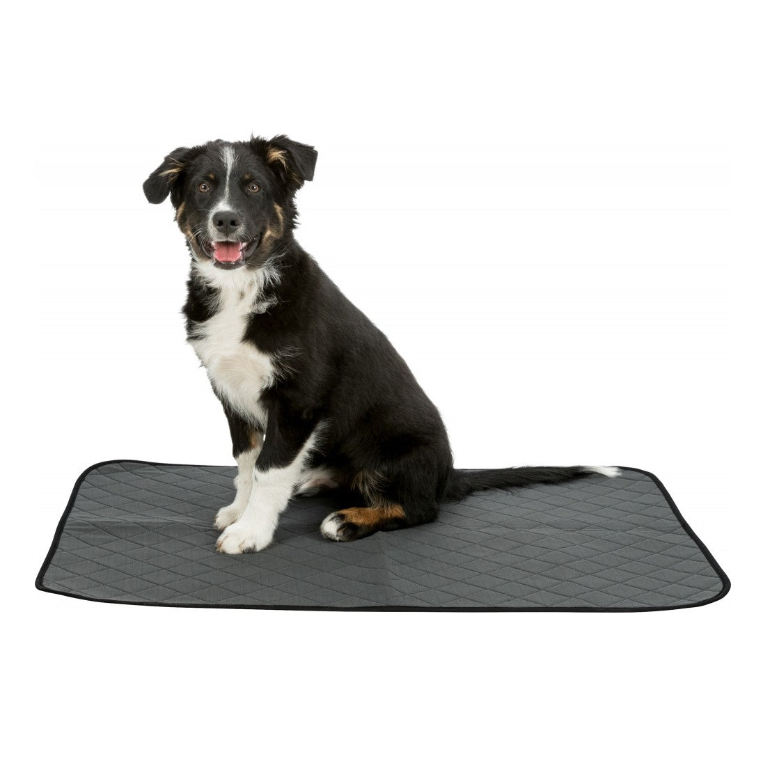 Tapis éducateur Nappy Wash