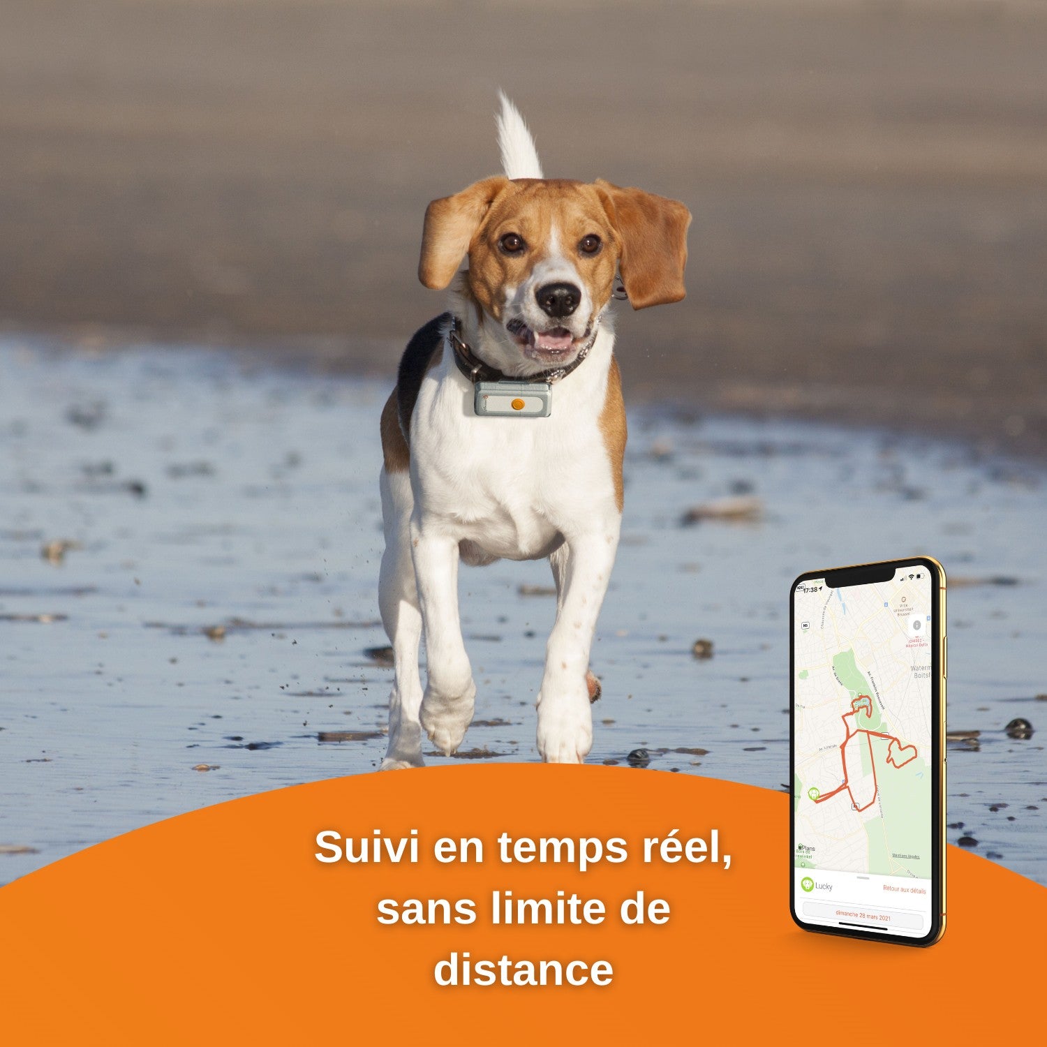 Traceur GPS Dogs 2 en temps réel