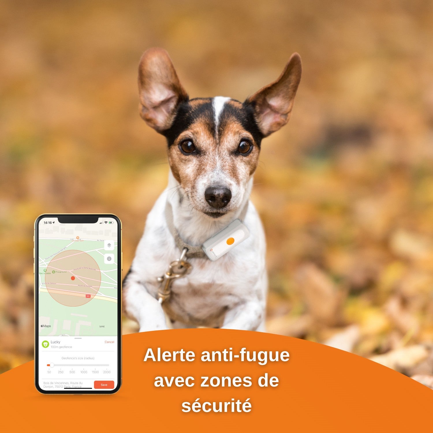 Traceur GPS Dogs 2 en temps réel