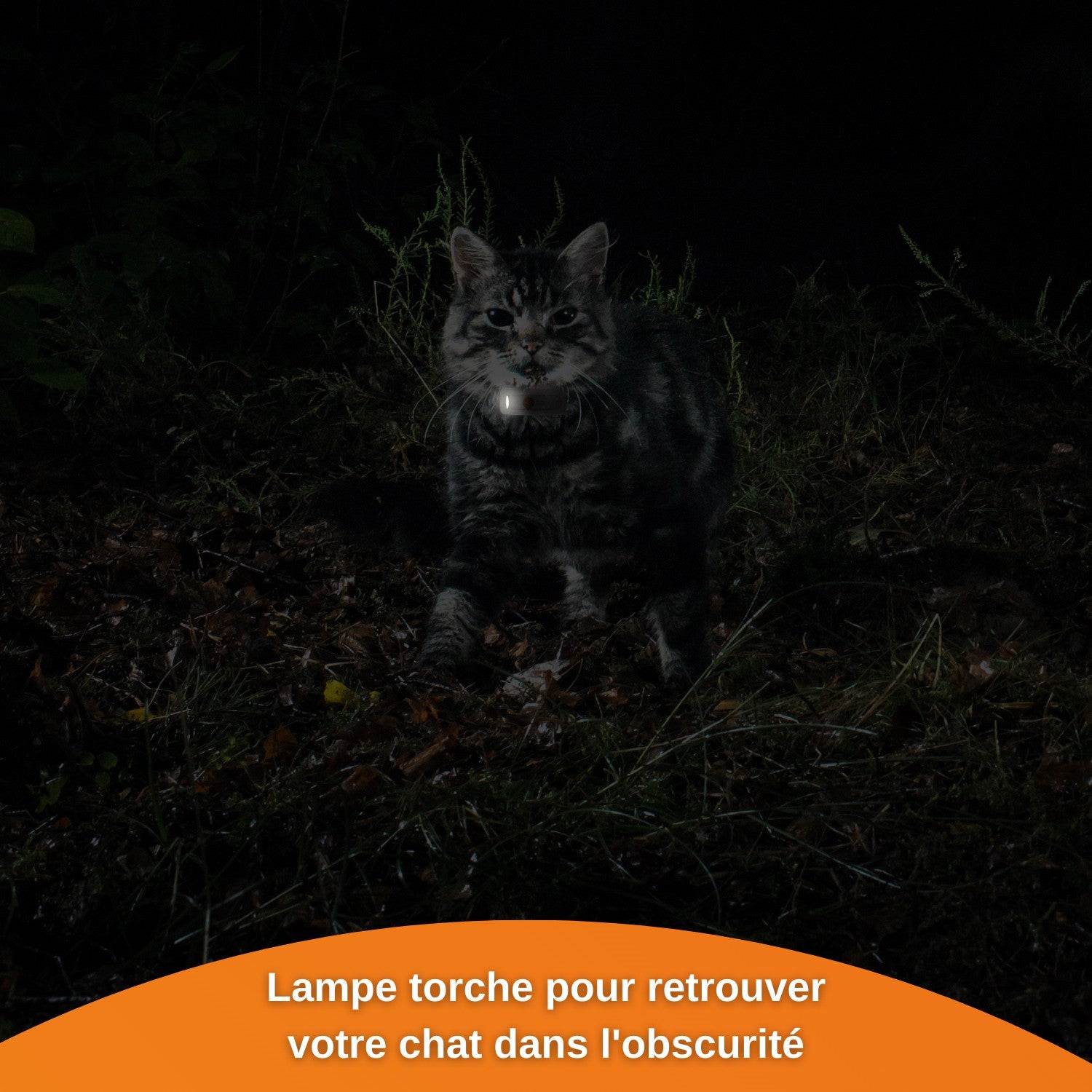 Collier GPS Wennect XS Cats - Blanc