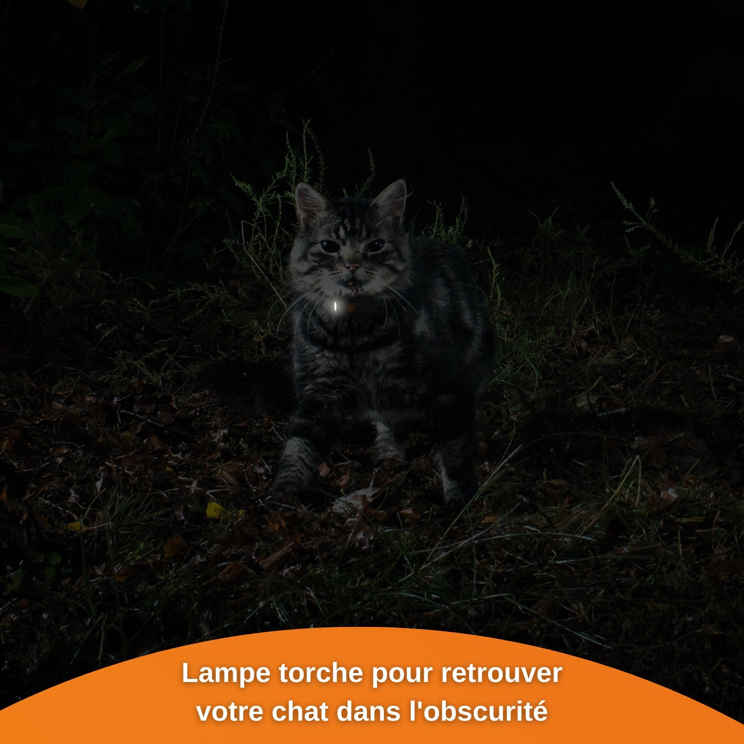 Collier GPS Wennect XS Cats - Noir