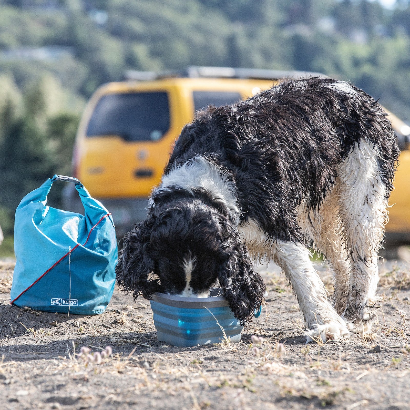 Sac de transport pour croquettes