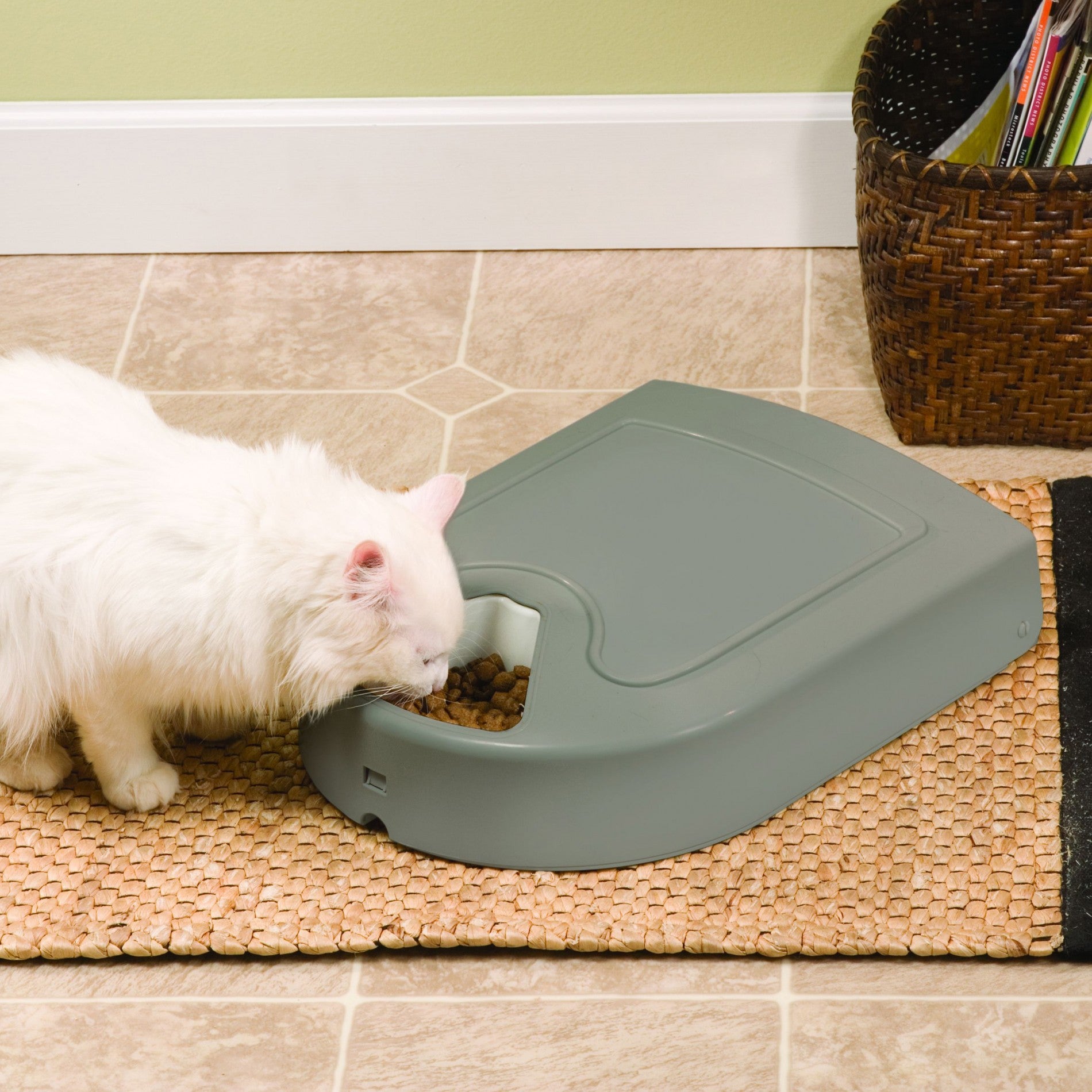 Distributeur Pet Feeder 5 repas