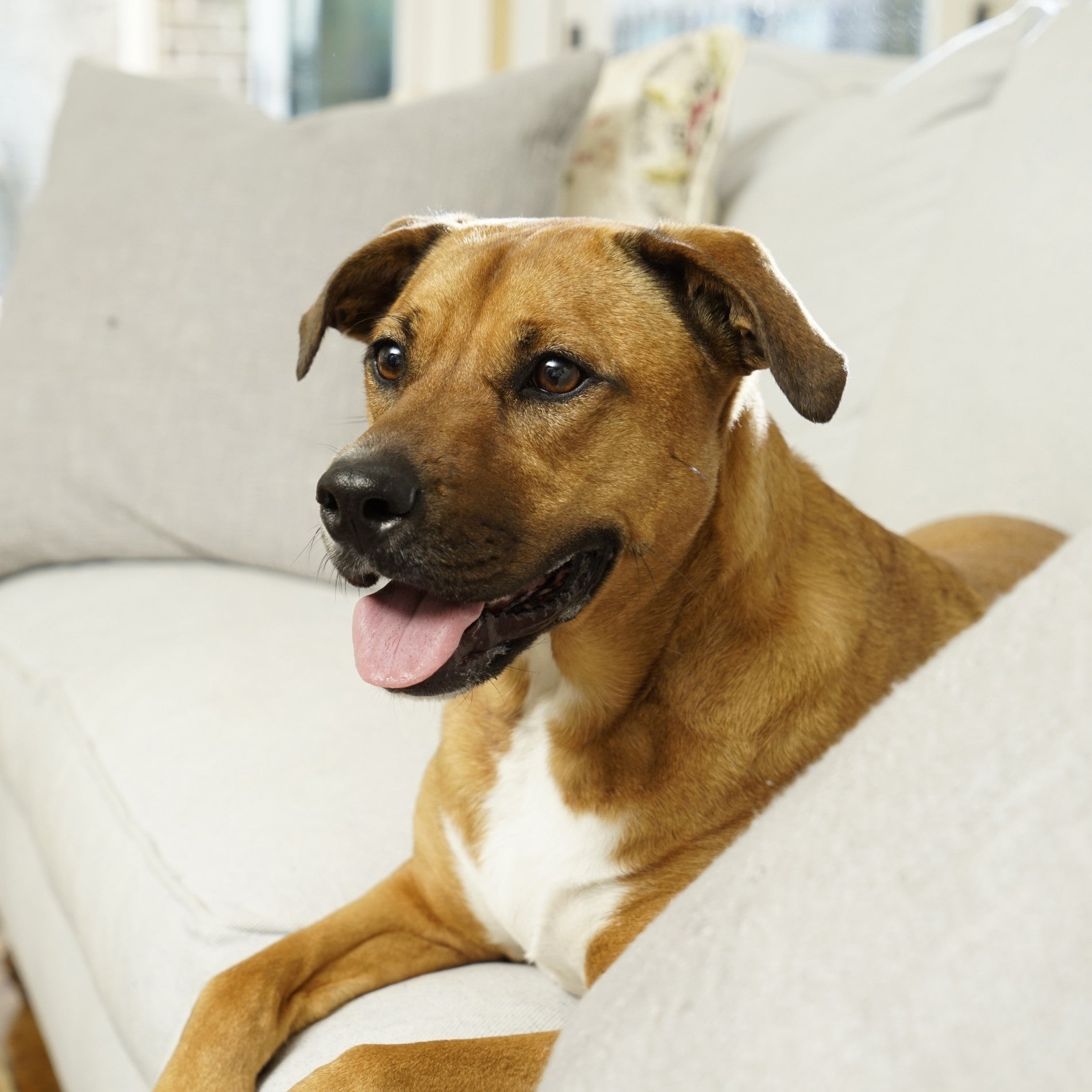 Chatière Ultra Isolante