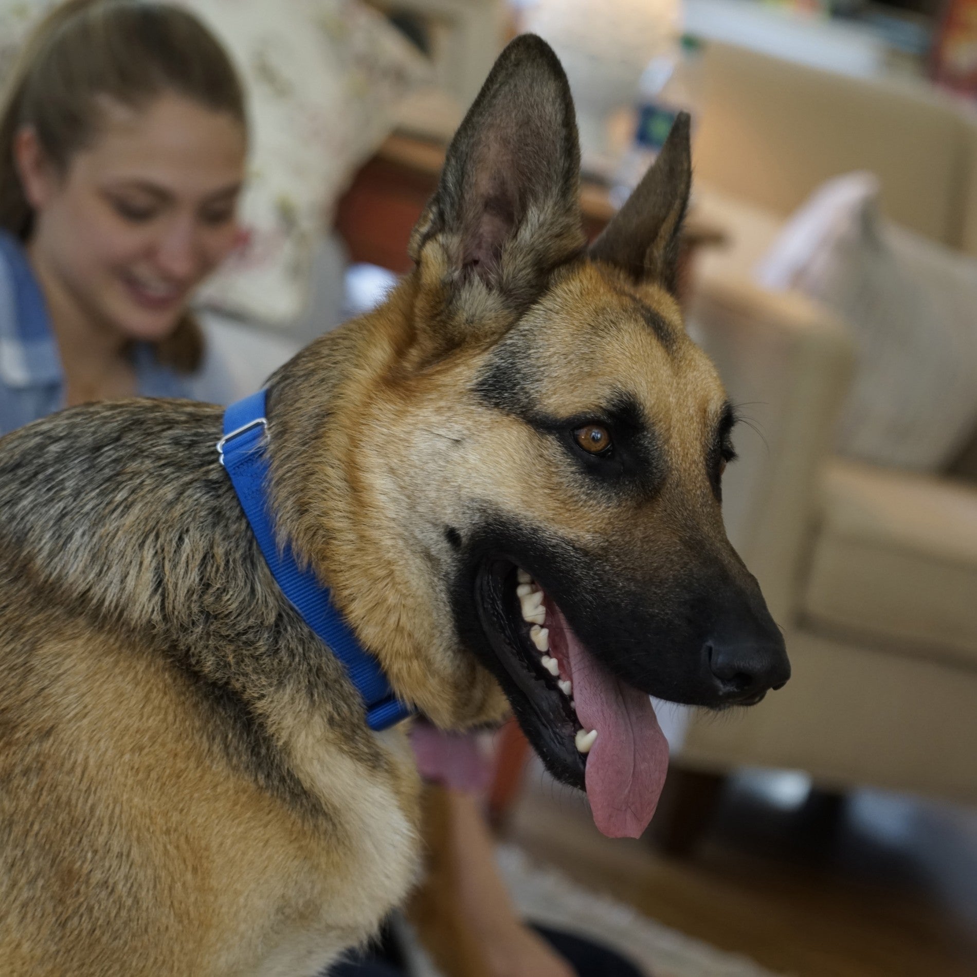 Chatière Ultra Isolante