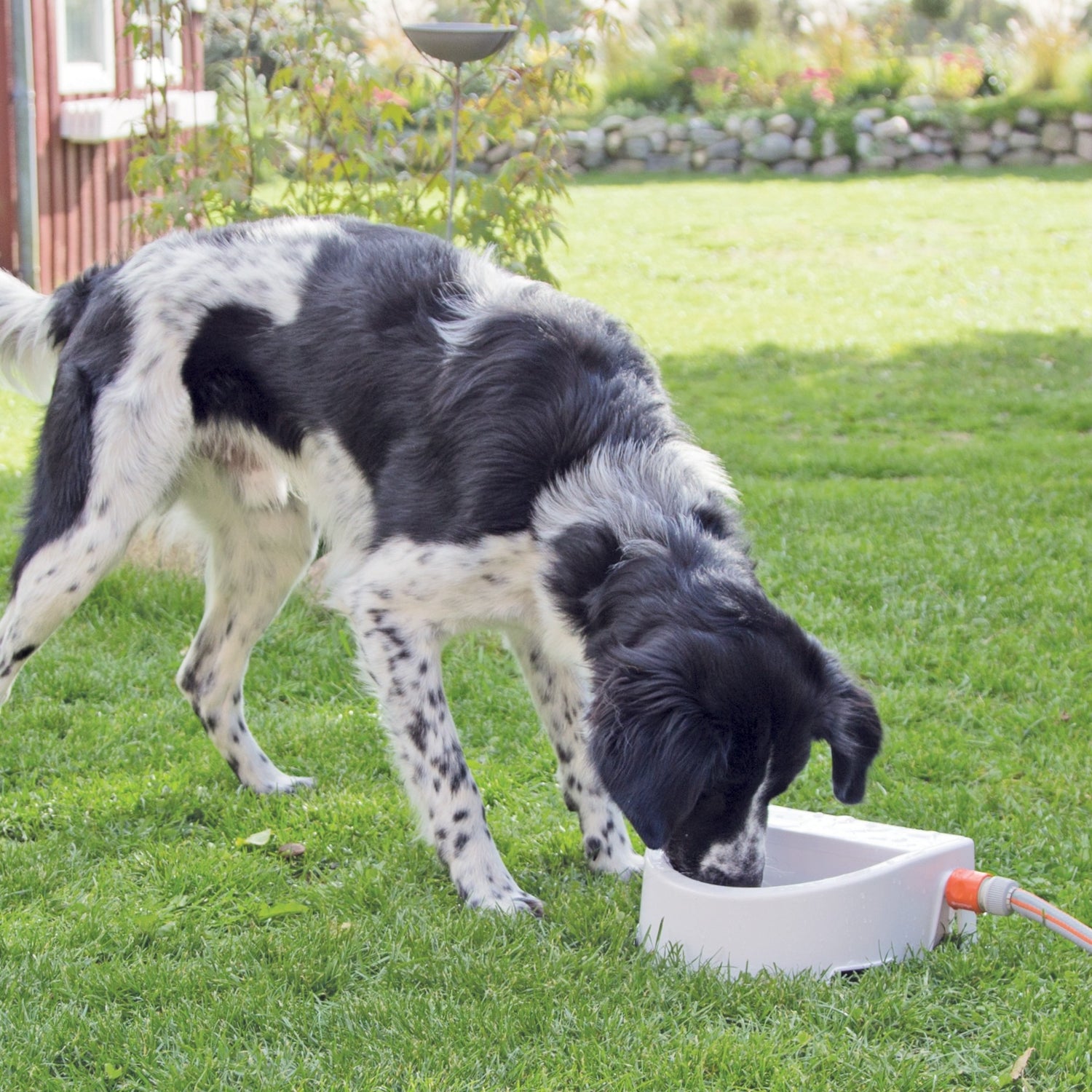 Abreuvoir extérieur automatique