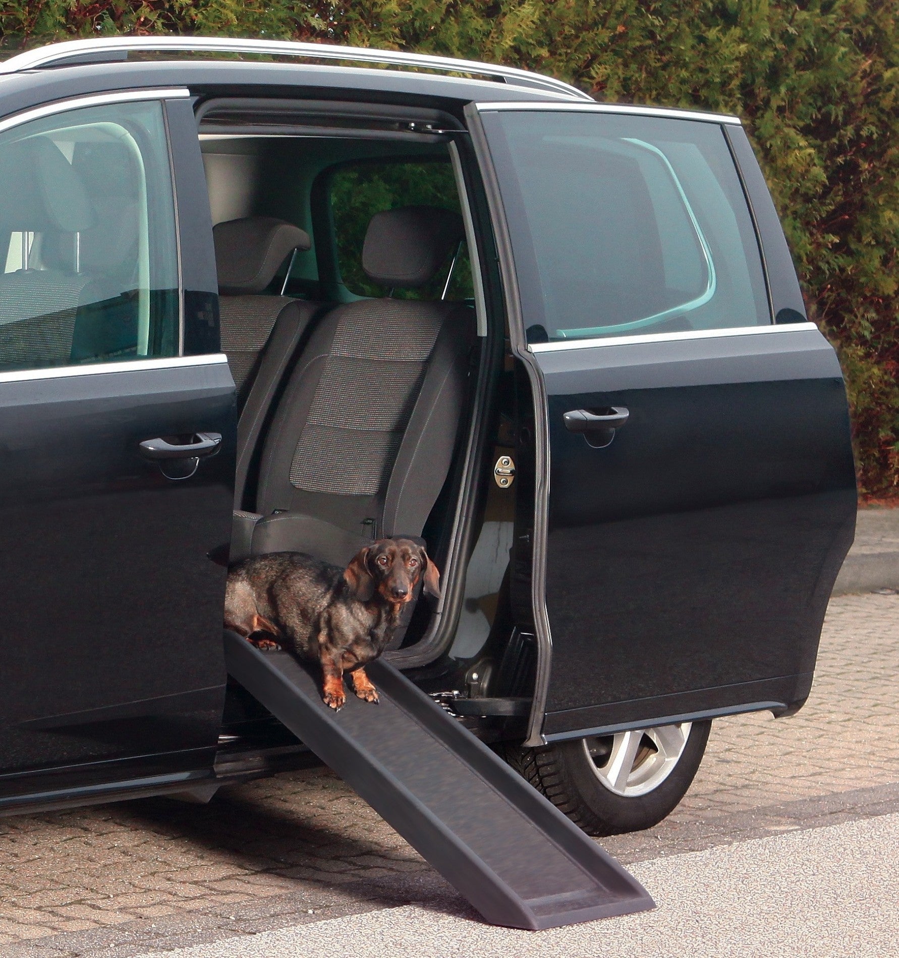 Rampe pour chien Friends On Tour