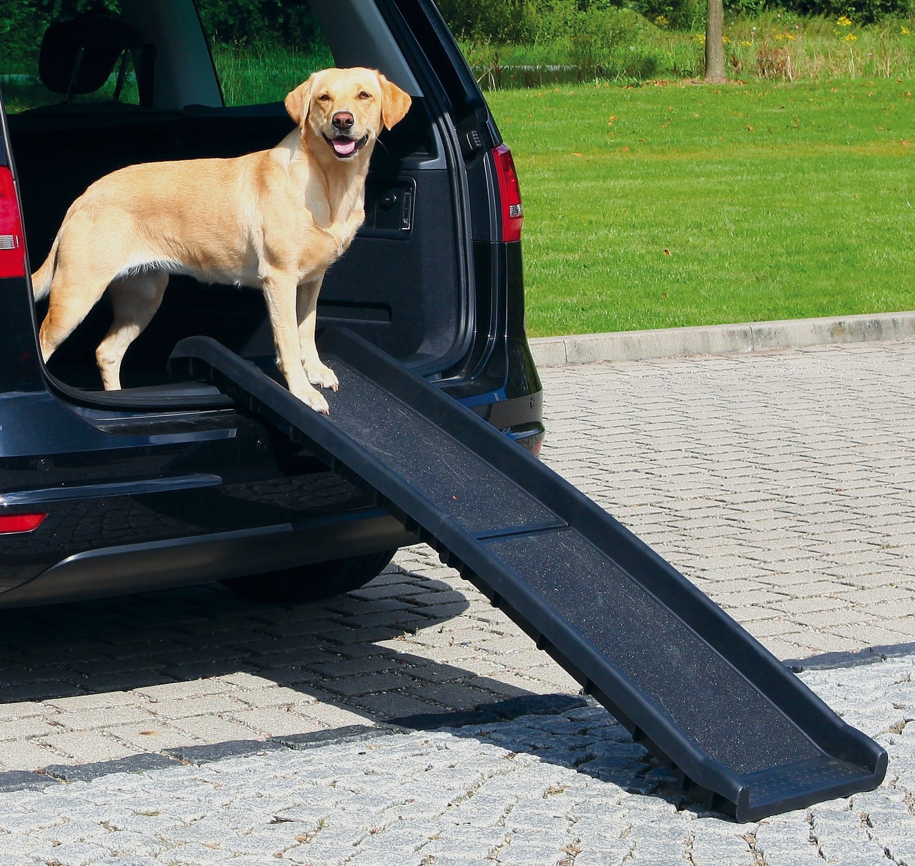 Rampe pliable Petwalk