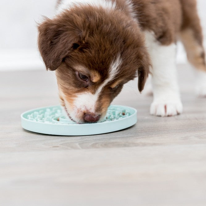 Assiette à lécher Lick&