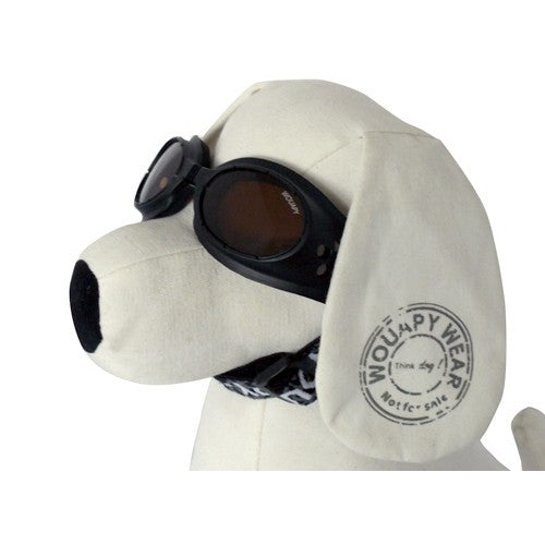 Lunettes de soleil pour chien