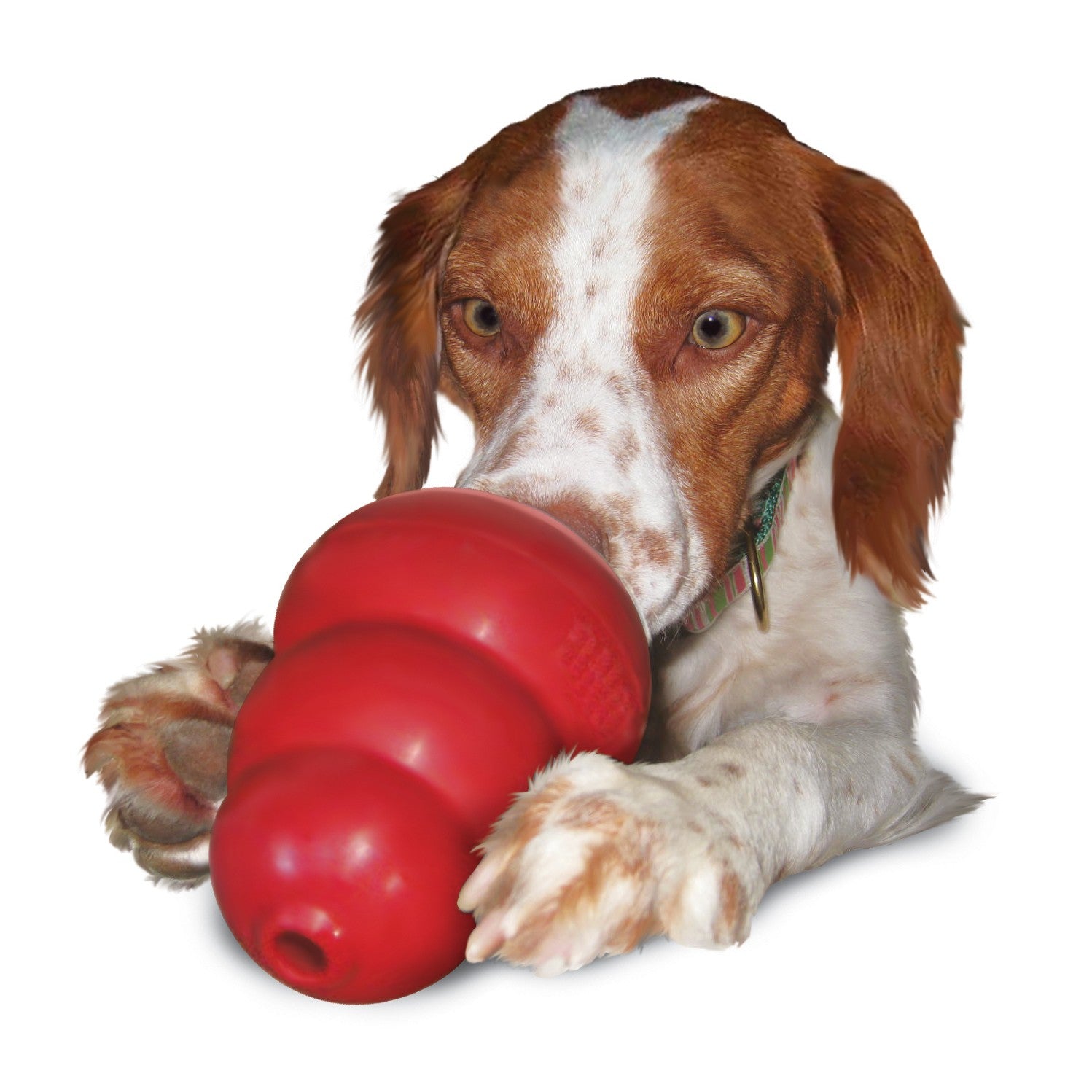 Pâte appétente Stuff&