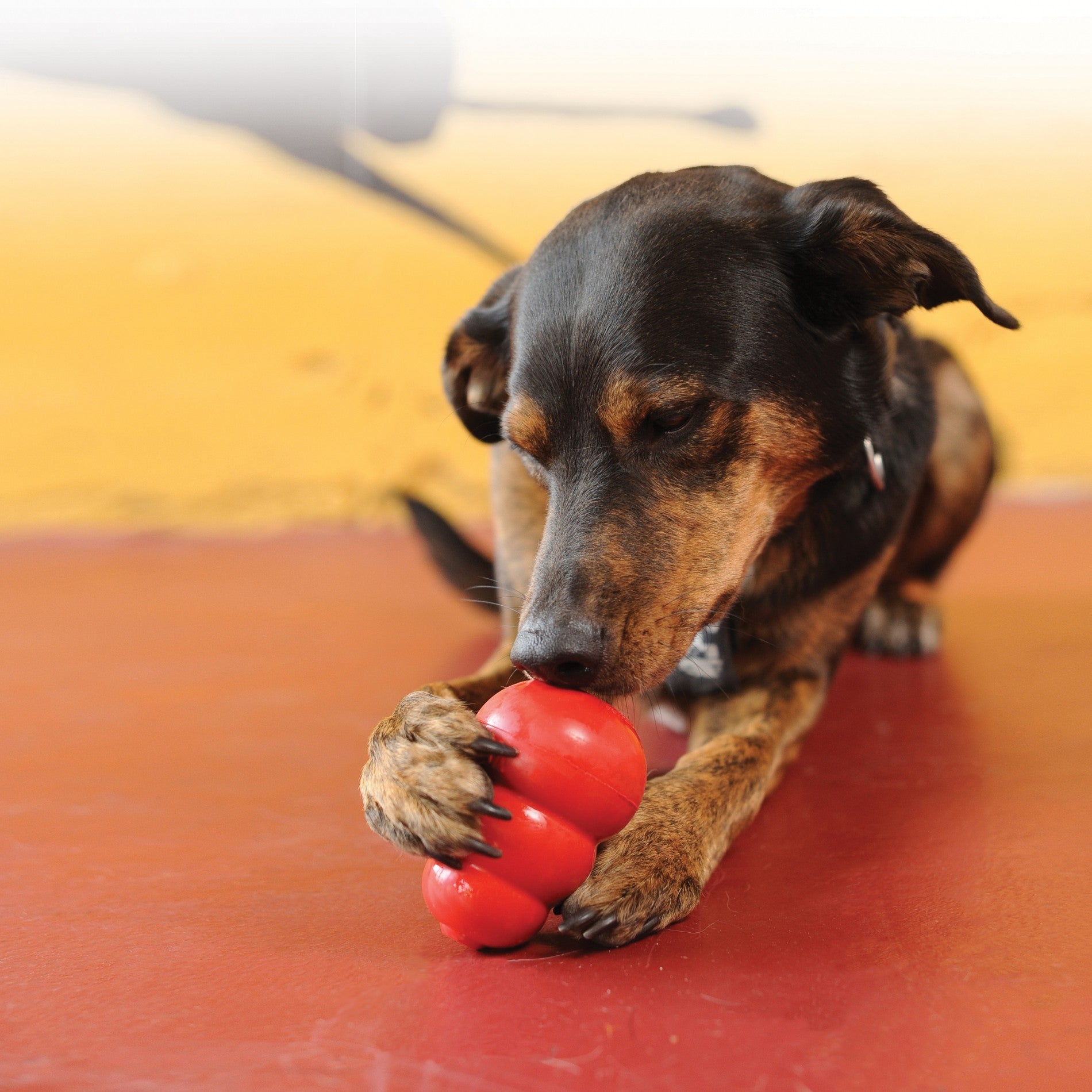 Pâte appétente Stuff&